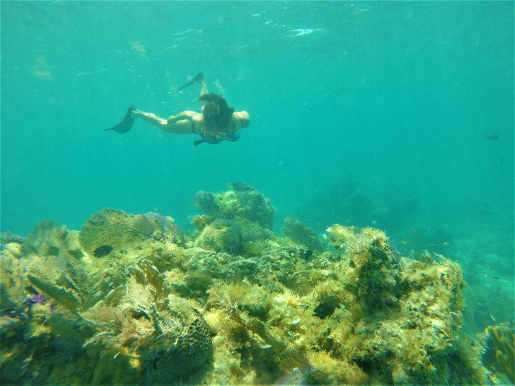 Ojo de Agua Snorkeling Puerto Morelos