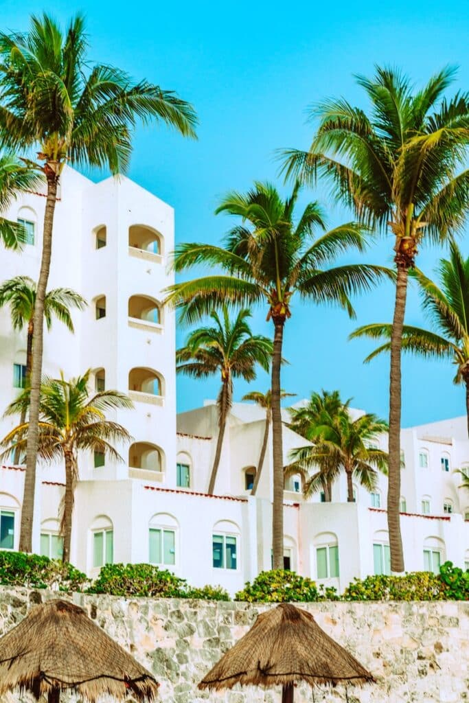 palm trees near white concrete building